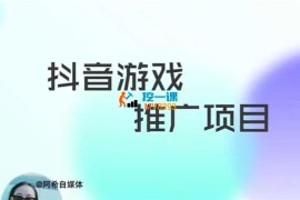 阿希《抖音游戏推广项目》