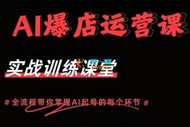 大橙子《AI爆店运营从0-1实体店流量起号》