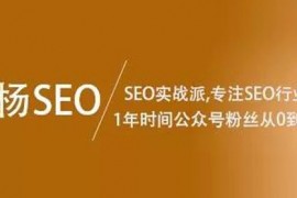 白杨SEO第三期精准引流实战培训