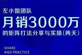 左小姐《月销3000万的矩阵打法分享与实操》