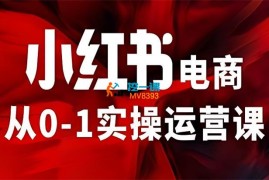 徐徐《小红书电商从0-1实操运营课》