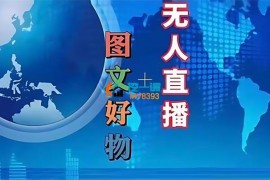 初心团队《图文好物和无人直播实操》