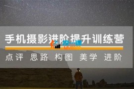 杨精坤《手机摄影21天提升训练营》