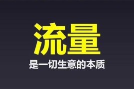 小淘《全网引流术技术》