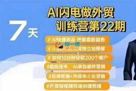 大卫《AI闪电做外贸训练营第22期》