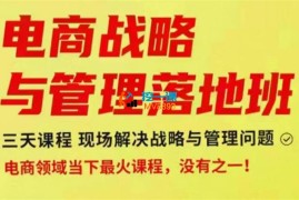 蒋晖《电商战略与管理落地班线下大课》