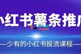 红山会《小红书薯条推广》