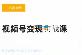 杨老师《视频号变现实战课》