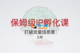 王树《保姆级IP孵化课2.0》
