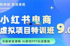 陆明明《小红书虚拟项目特训班9.0》