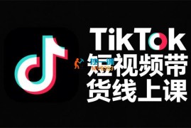 天诺老吴《TikTok短视频带货线上课》