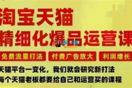 子幽《淘宝天猫精细化爆品运营课》