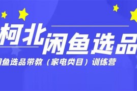 柯北《闲鱼选品训练营》