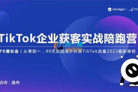 嘉伟《TikTok企业获客实战陪跑营》