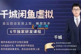 众筹：城千‬·闲鱼虚拟项目