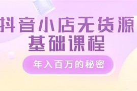 大梨《抖音小店无货源基础运营》