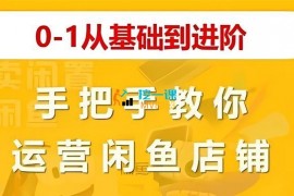 多乐《2023闲鱼最新实操课程》