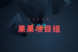 果果《2024年果果项目组合集》