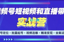 小卒《视频号短视频和直播带货实战营》