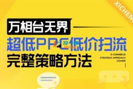 非凡《万相台无界超低PPC低价扫流完整策略方法》