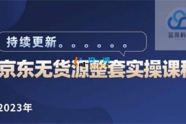 蓝七《2023京东无货源整套实操课程》