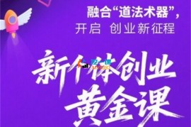 桃子学姐《新个体创业黄金课》
