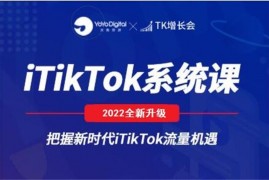 嘉伟《TK零基础变现训练营第20期》