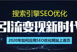 SEO到底咋做？搜索引擎优化总监实战VIP课堂