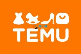 Temu小白科普课