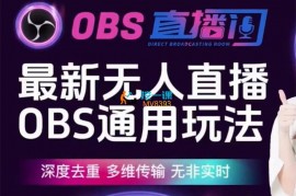 爱豆新媒《无人直播OBS通用玩法》