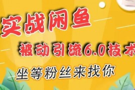 狼叔《实战闲鱼被动引流6.0技术》