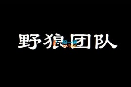 野狼团队《短视频+直播带货实操课》