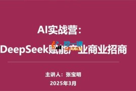 张宝明《AI实战营》