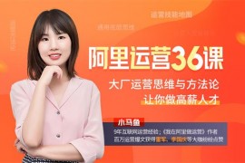 小马鱼《阿里运营36课》