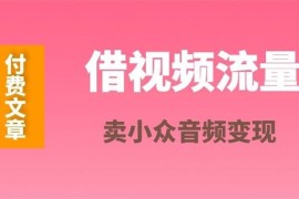 毛小白《借视频流量，卖小众音频变现》