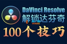 孙春星《解锁达芬奇100个技巧》