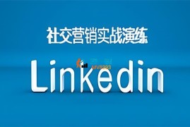 Rita《Linkedin社交营销实战演练》