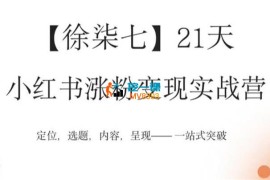 徐柒七《小红书涨粉变现实战营》