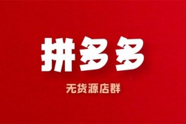 新奇电商《2022年拼多多店群》