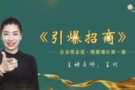 王昕《引爆招商》