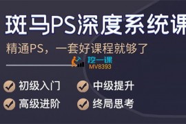 斑马《终极PS深度系统课程》