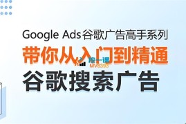 lce《Google Ads谷歌广告高手》