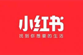 夏九九《小红书博主赚钱课》