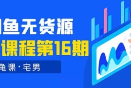 龟课《闲鱼无货源电商课程第16期》