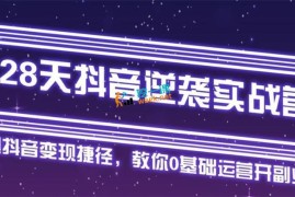 28天抖音逆袭实战营