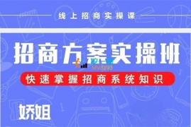 娇姐《招商方案实操班》