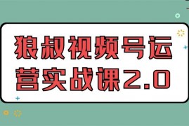 狼叔视频号运营实战课2.0