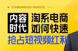 秋实《内容时代淘系电商如何快速抢占短视频红利》