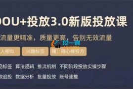 勋哥《豆荚投放实操课3.0新版》