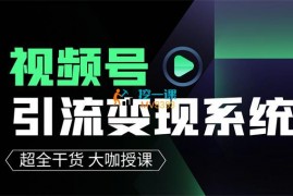 王双雄《视频号引流变现系统》